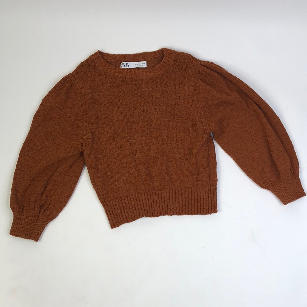 Zara Rust Crew Neck Sweater